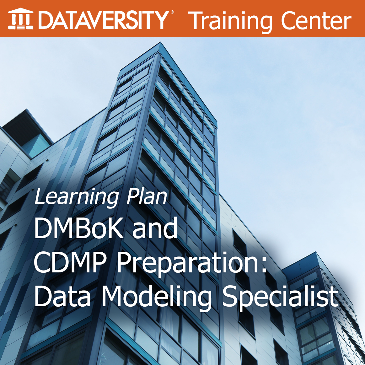 Data Modeling Specialist Learning Plan